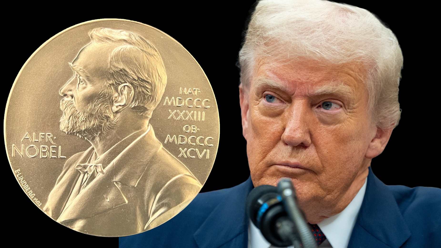 الرئيس الأميركي دونالد ترامب 