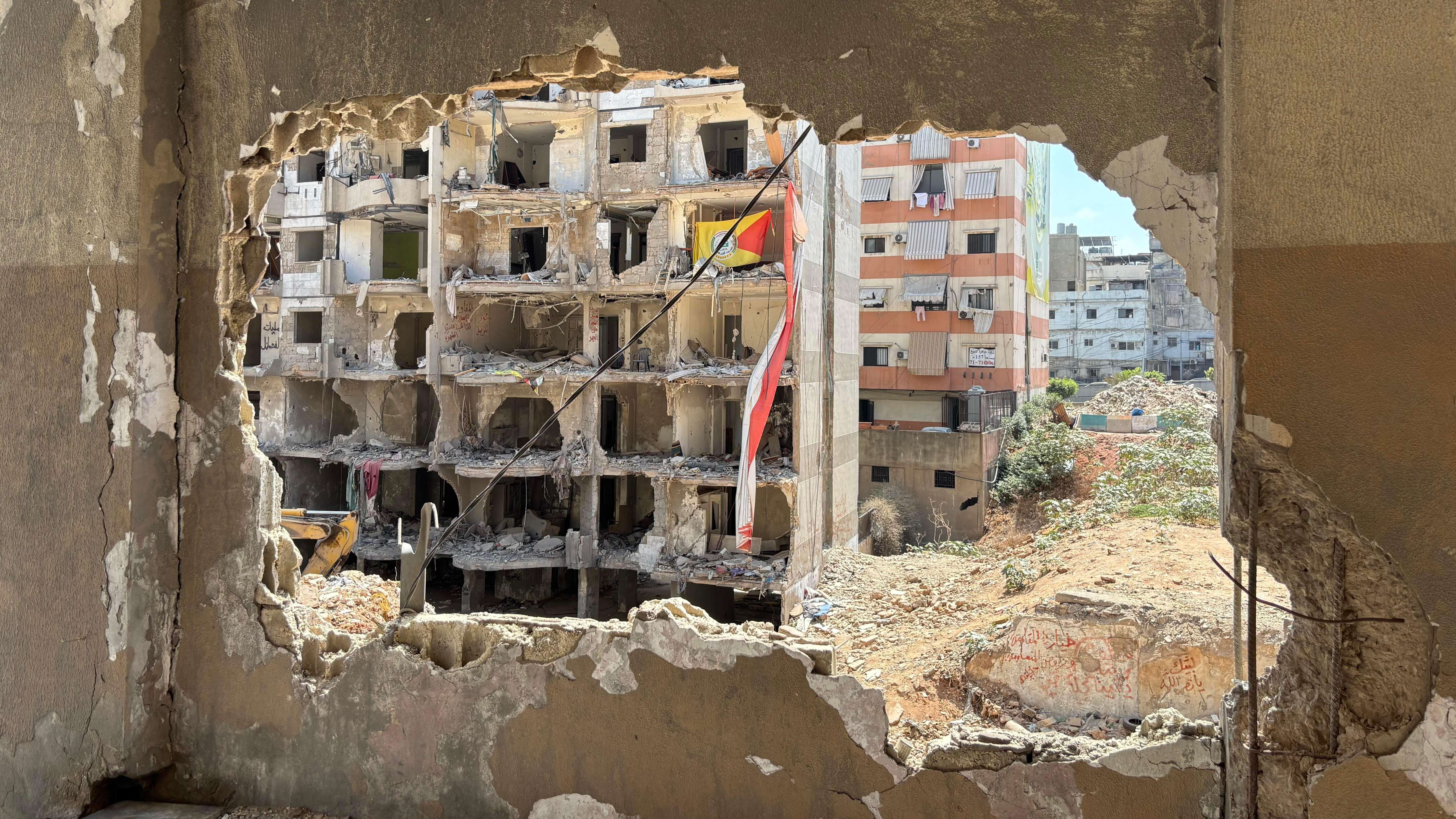 رموز فلسطين ولبنان وشكل دولة إسرائيل. - Getty Images