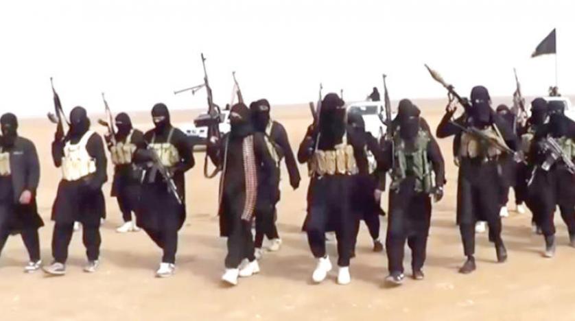الحازميون... غلاة ما بعد «داعش»