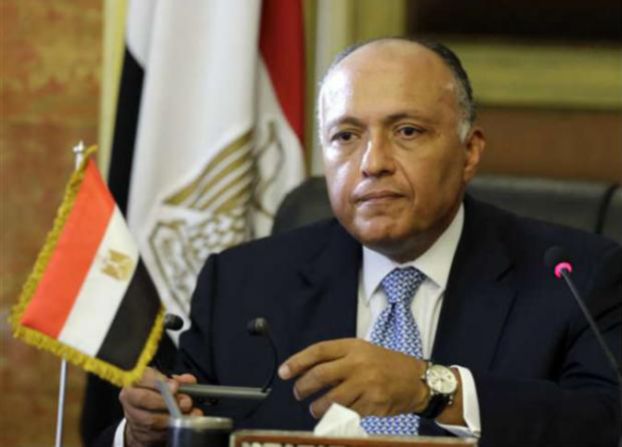 شكري: العلاقات مع السودان تتطلب جهداً وسياسات من القاهرة