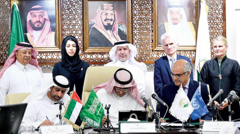اتفاقيتان سعوديتان ـ إماراتيتان لمكافحة الكوليرا ومعالجة سوء التغذية