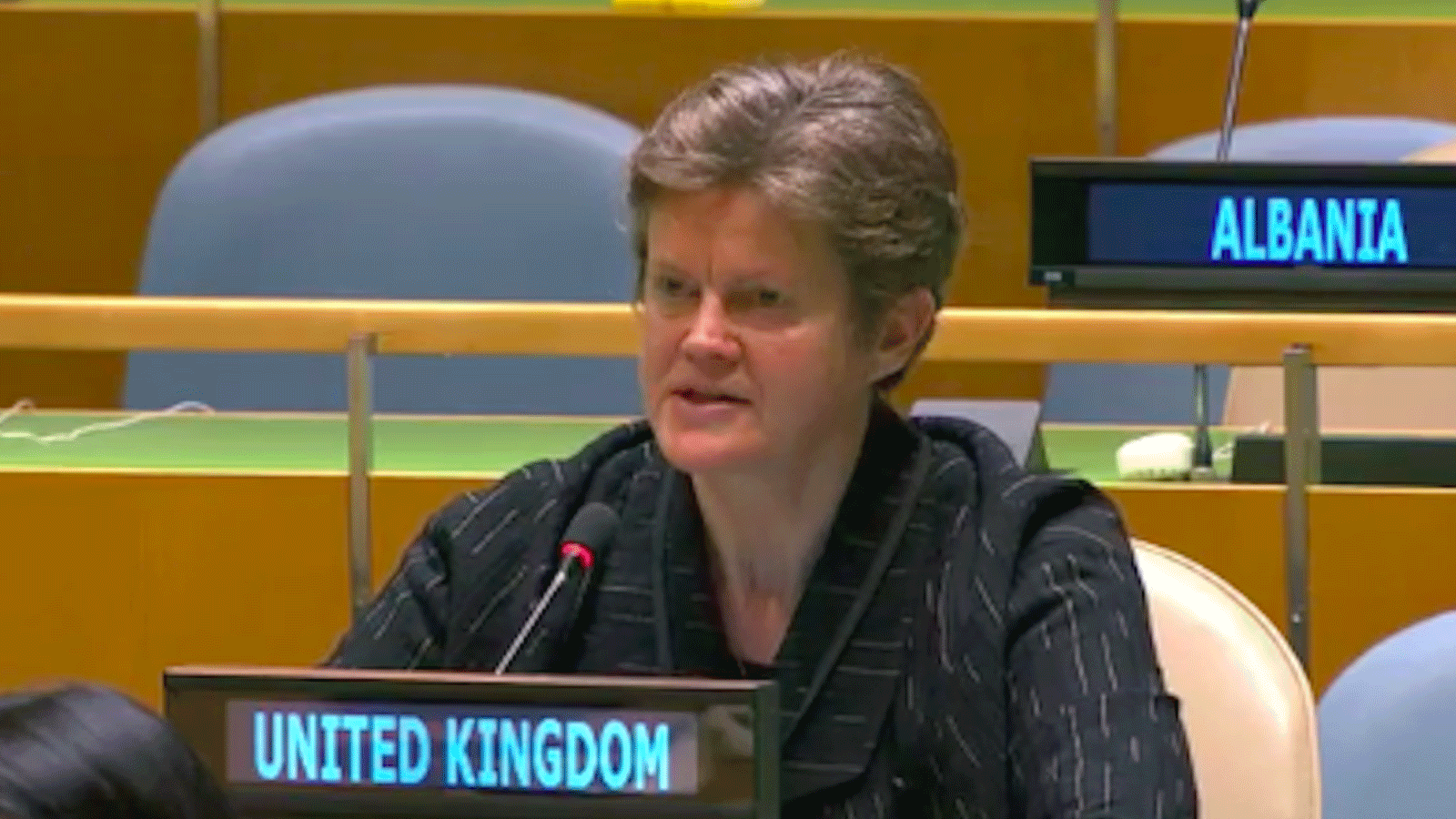 السفيرة البريطانية لدى الأمم المتحدة باربرا وودوارد(الحكومة البريطانية)