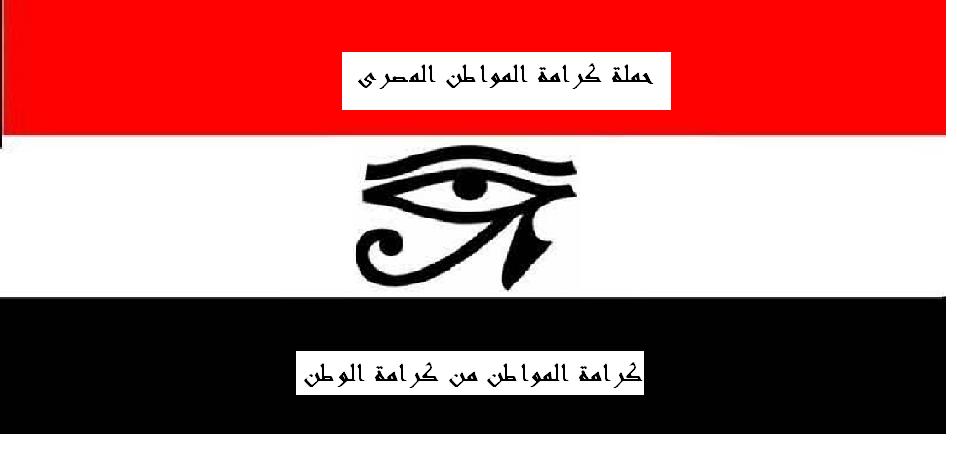 حملة مصرية