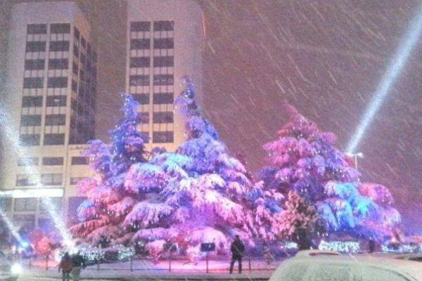 شجرة الميلاد تحت الثلج في زحلة اللبنانية