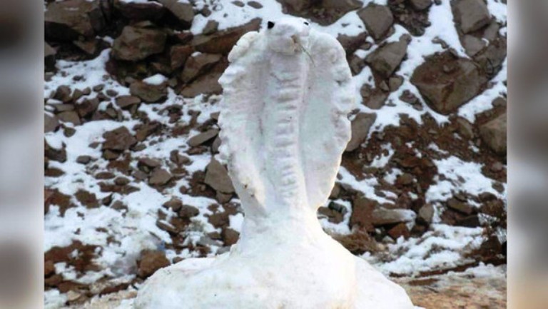 الأفعى الثلجية التي نحتها سعوديون على جليد تبوك