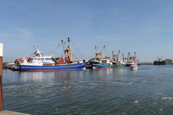 سفن الصيد في بحر الشمال