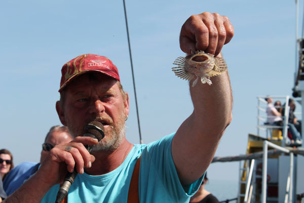 الصياد الهولندي يشرح أنواع الأسماك