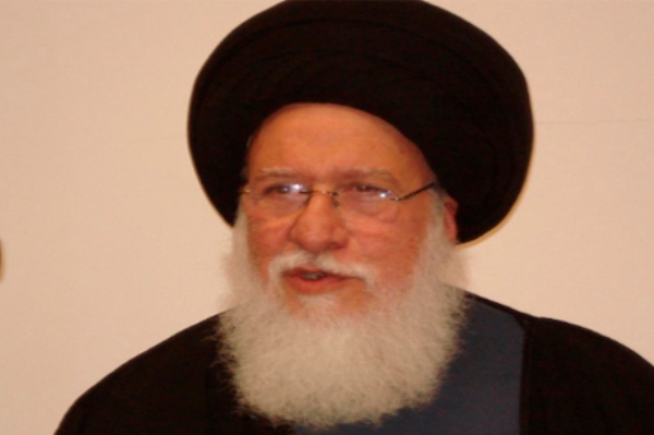 السيد حسن اسماعيل الصدر