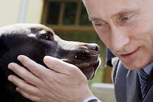 الرئيس الروسي مع احد كلابه المدللة