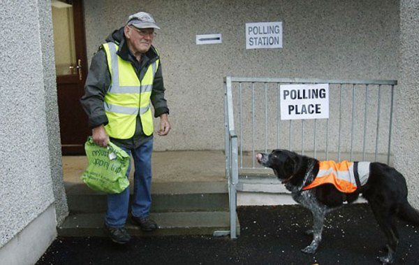 اسكتلندي وكلبه امام مركز للاقتراع 