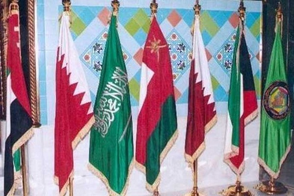 التعاون الخليجي يدعو لرد فعل أقوى على الانقلاب 