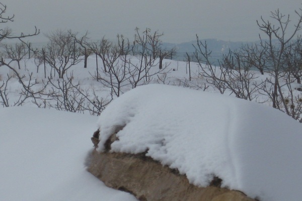 العاصفة يوهان تغمر لبنان بالثلوج