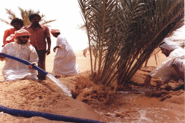 الشيخ زايد مع مجموعة من رجالات الدولة أثناء حفر آبار المياه في أرض قاحلة 