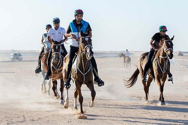  حمدان بن محمد يقود فرسان الامارات في بطولة كأس الخليج للقدرة والتحمل