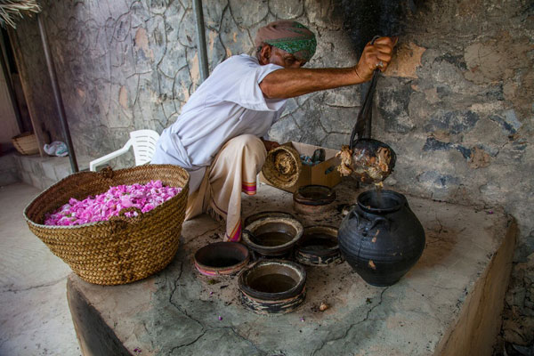 تنتشر شجيرات الورد بكثافة في قرى الجبل