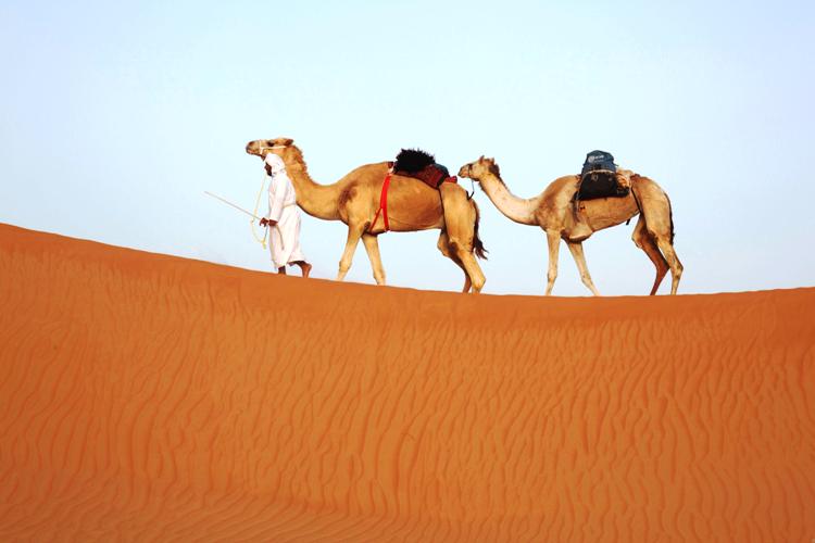 الرحالة قطعوا المسافة اما مشيا أو بواسطة الجمال