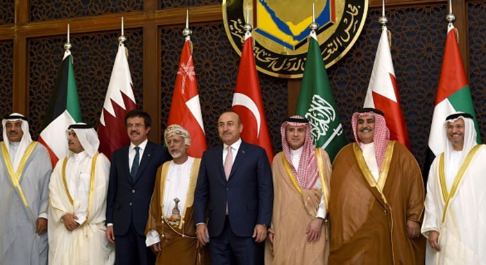 وزراء خارجية التعاون وتركيا في الرياض الخميس