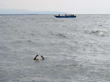 30 قتيلا في غرق سفينة في بحيرة البرت الاوغندية