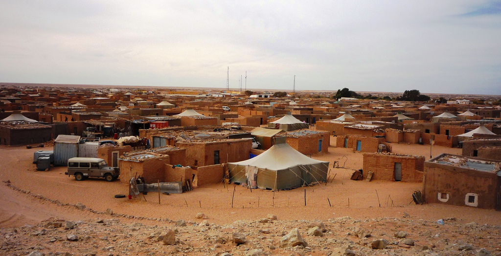  صحراويون في الجزائر انفصلوا عن عائلاتهم قبل 40 عاما