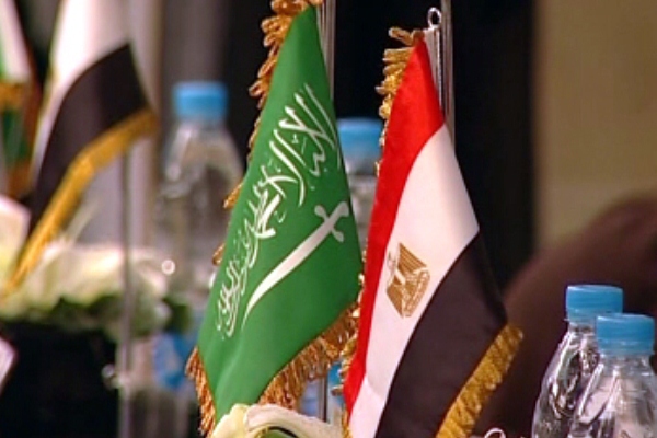نواب مصريون يؤكدون التوافق الفكري بين السعودية ومصر