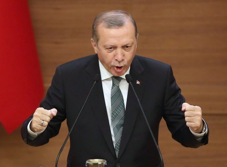 مواطن تركي يطلب من أردوغان تعيينه رئيسا للحكومة