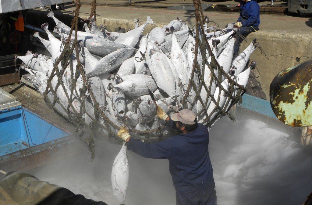 أول اتفاقية عالمية ملزمة لمكافحة صيد السمك غير المشروع