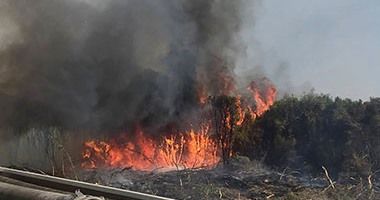 قبرص تعلن السيطرة على حرائق الغابات