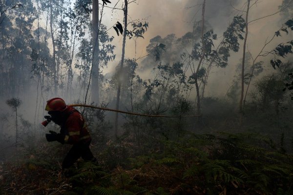 الحرائق دمرت أكثر من 95 الف هكتار من الاراضي في البرتغال