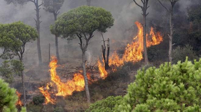 حرائق الغابات مستمرة في البرتغال واسبانيا