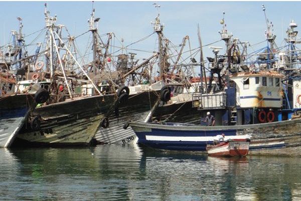مراكب الصيد الساحلي بالمغرب توقف إضرابا ناهز أسبوعين