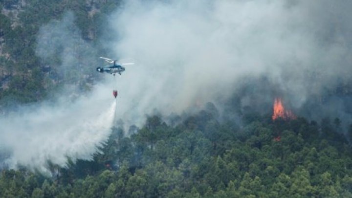 الحرائق تودي بثلاثين شخصًا في البرتغال وإسبانيا