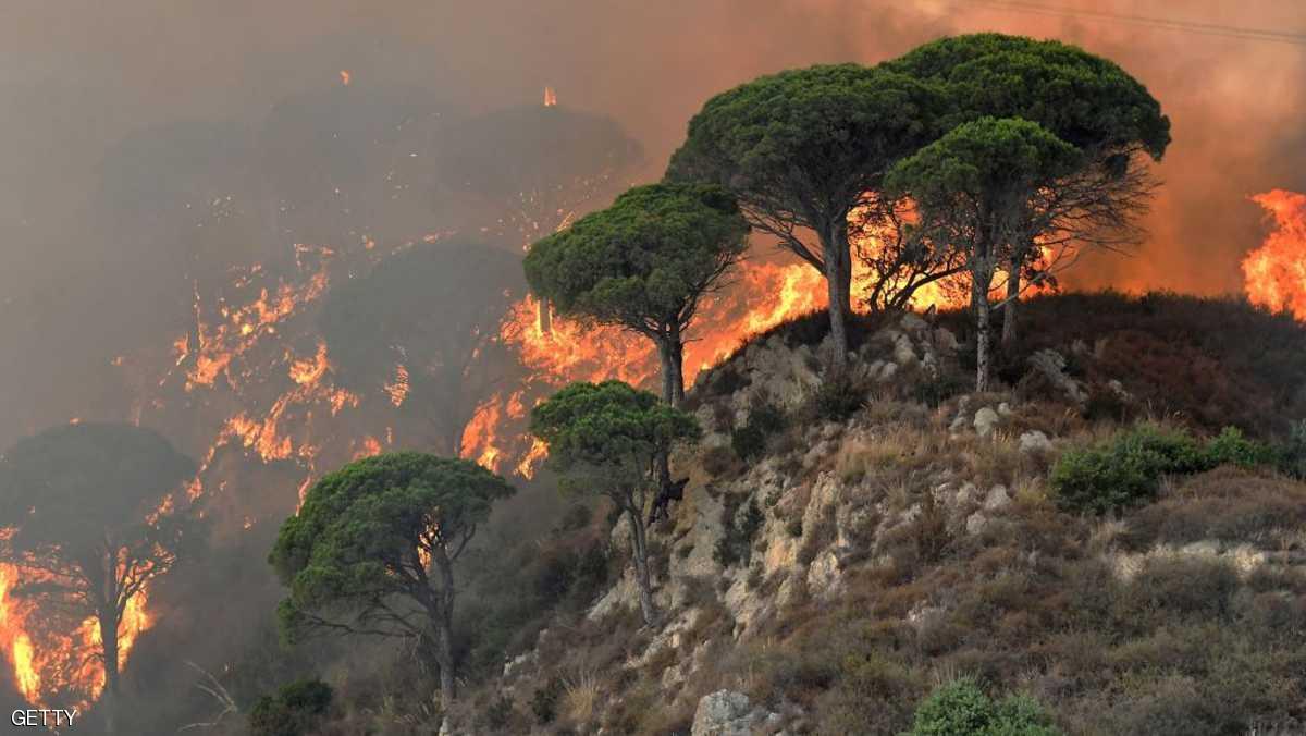 الحرائق تلتهم غابات إيطاليا