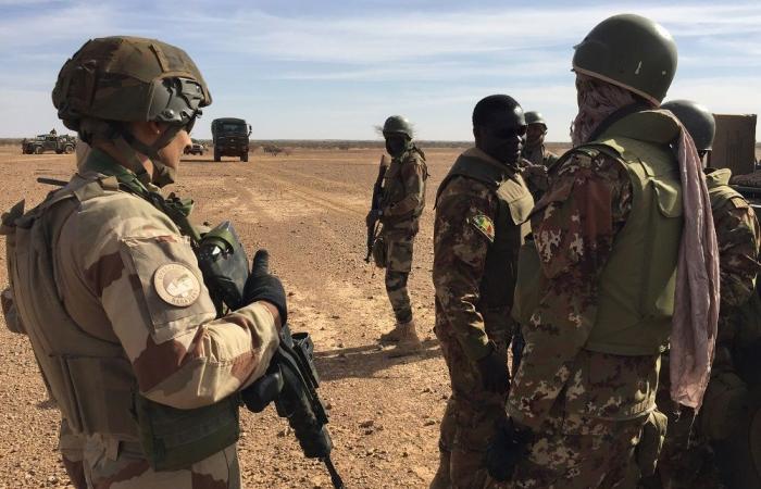 عشرة قتلى في سلسلة هجمات في مالي