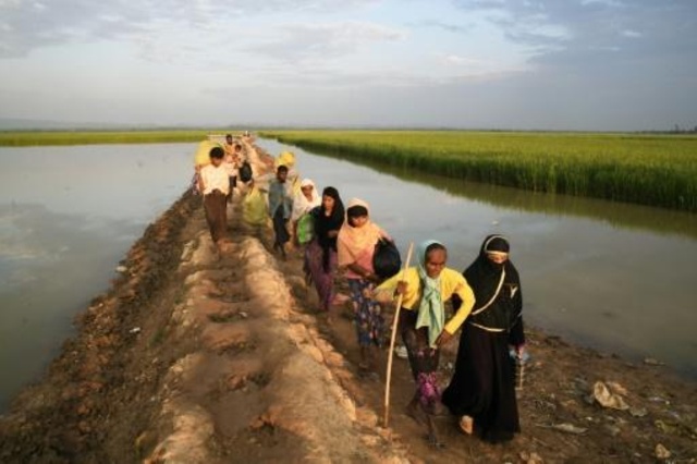 لجنة أممية تدعو بورما لوقف الهجمات ضد الروهينغا