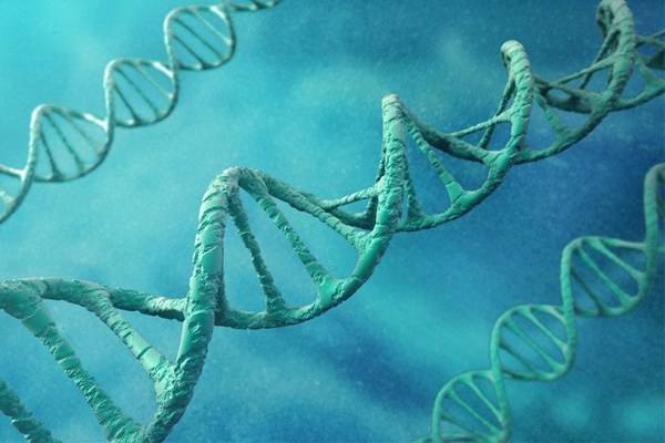 علماء يكتشفون جينات ترتبط بالمثلية