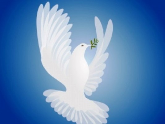 احتفاءً بالذكرى الأولى لإعلان الحق في السلام