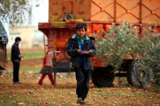 هاربون من المعارك في شمال سوريا يحتمون تحت اشجار الزيتون