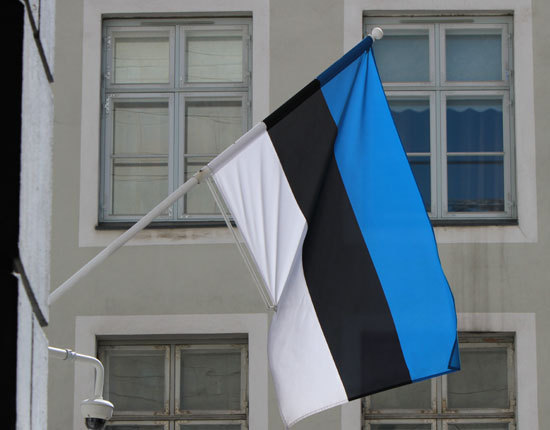 استونيا تدين مواطنًا روسيًا بالتجسس