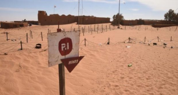 العثور على جثث 44 مهاجرًا قضوا في صحراء النيجر