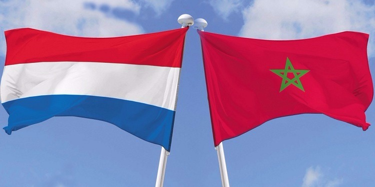 هولندا: استدعاء المغرب لسفيره غير مفهوم وغير مجدٍ