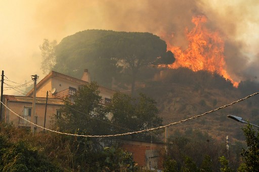 حريق غابات ضخم في جنوب فرنسا