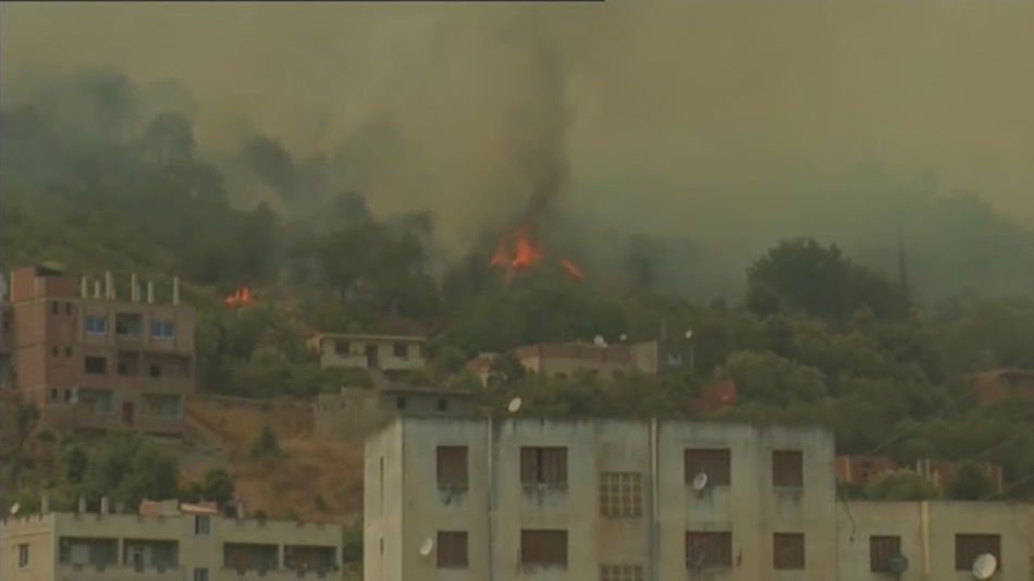 الحرائق التهمت أكثر من الف هكتار من الغابات خلال 48 ساعة بالجزائر