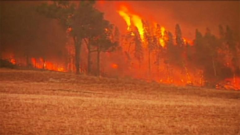 فرق الاطفاء تواصل العمل لاخماد حرائق الغابات في كاليفورنيا