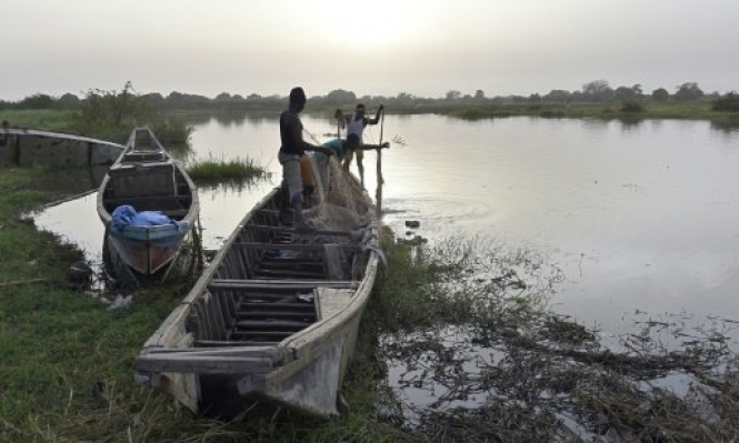 بوكو حرام تقتل 31 صيادا في نيجيريا