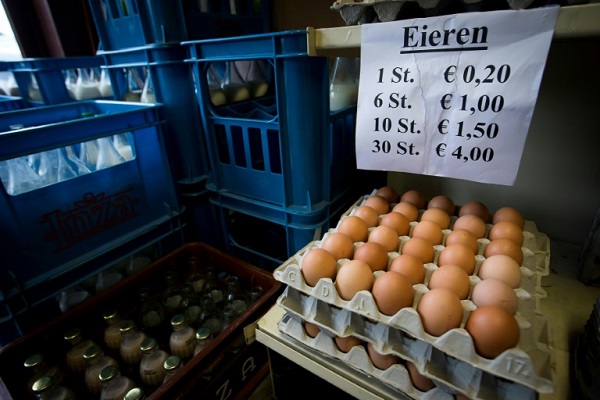 فضيحة البيض الملوث تطال مزيدًا من الدول الاوروبية