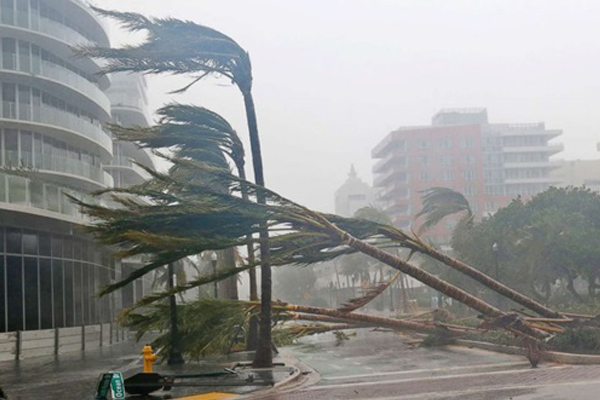 عقب الإعصار... أعمال نهب في فلوريدا
