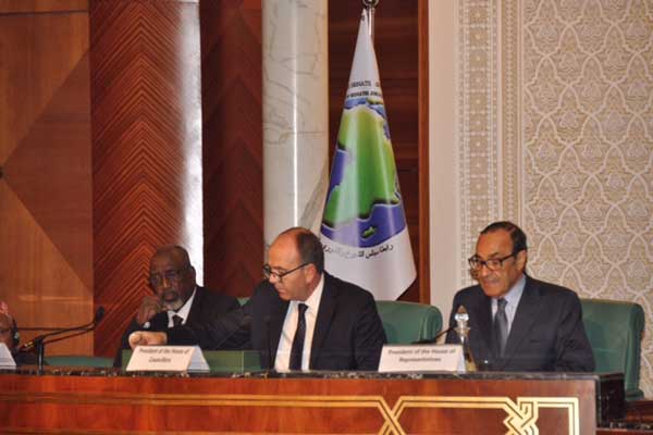 دعوات لتعزيز التعاون الأفريقي - العربي لمواجهة تحدي الإرهاب والتنمية
