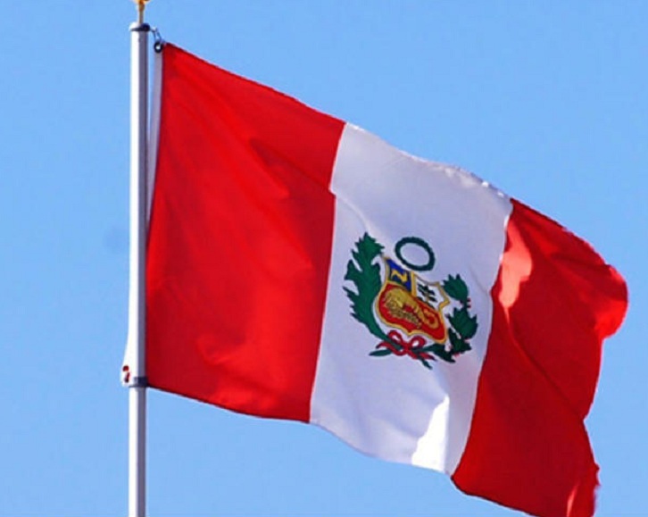 قتيل و55 جريحا جراء زلزال في جنوب البيرو