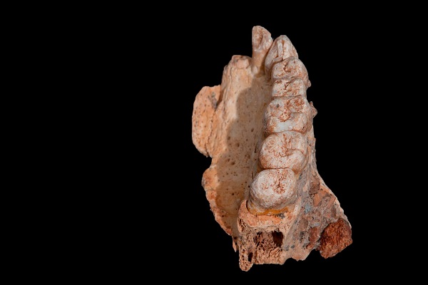 العثور على رفات أقدم انسان خارج أفريقيا في اسرائيل