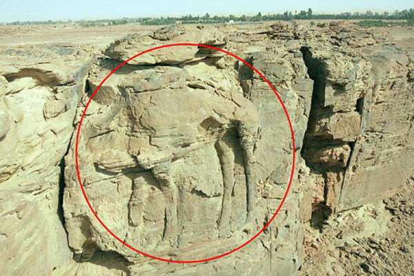 السعودية: اكتشاف منحوتات صخرية تعود الى 2000 عام